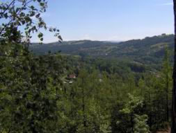 Resize of Talpa 006.jpg